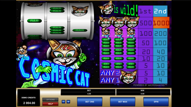 Бонусная игра Cosmic Cat 5